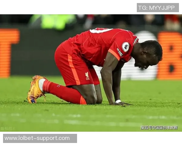 中超联赛精彩对决利物浦大胜本菲卡引发全场热烈反响